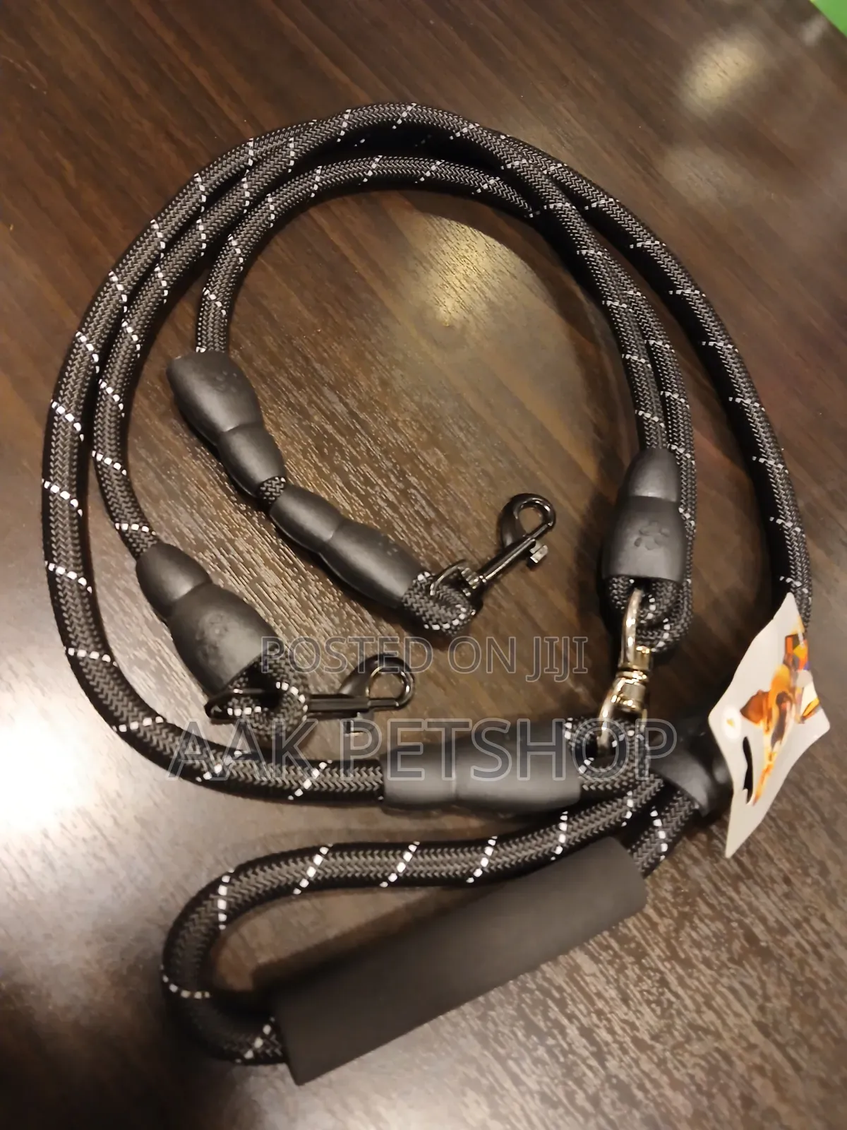 2 in 1 Leash for Dogs