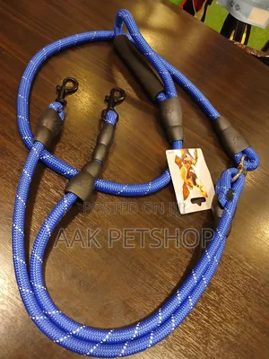 2 in 1 Leash for Dogs