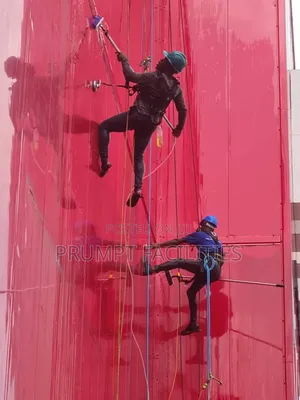 Premium Facade Glass Cleaning