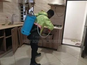 Kumasi City Homes Fumigation With Cleantex