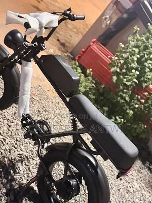 Electric Bike