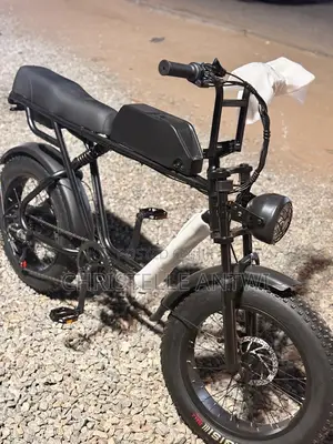 Electric Bike