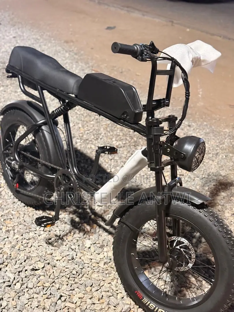 Electric Bike