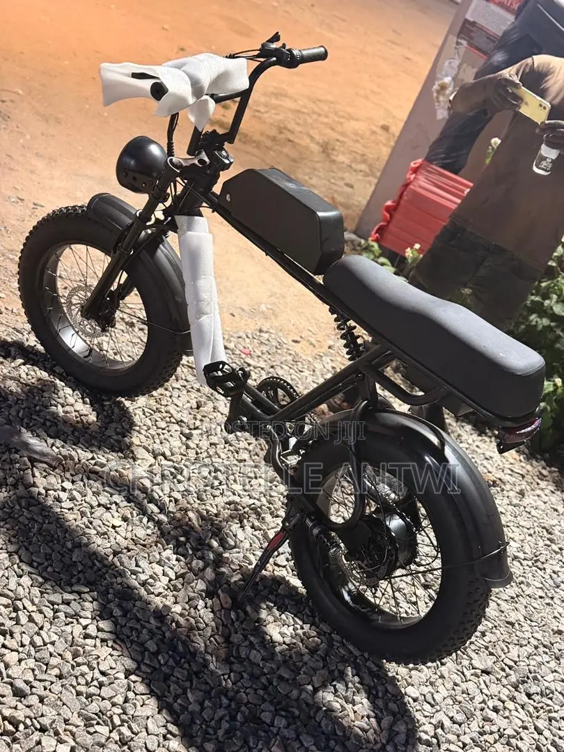 Electric Bike