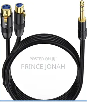 Lokeke 0.5m Dual Female XLR 1/4 Inch 6.35mm Male Plug Y-Splitter Cable