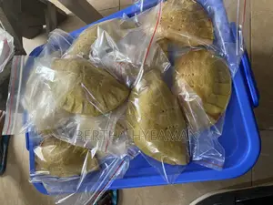 All Types of Meat Pies