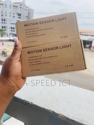 Motion Sensor Light