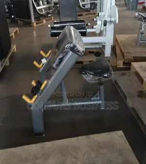 Preacher Curl Seated Bench