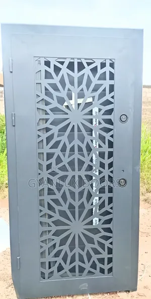 Full Metal Door in Doors Main Entrance