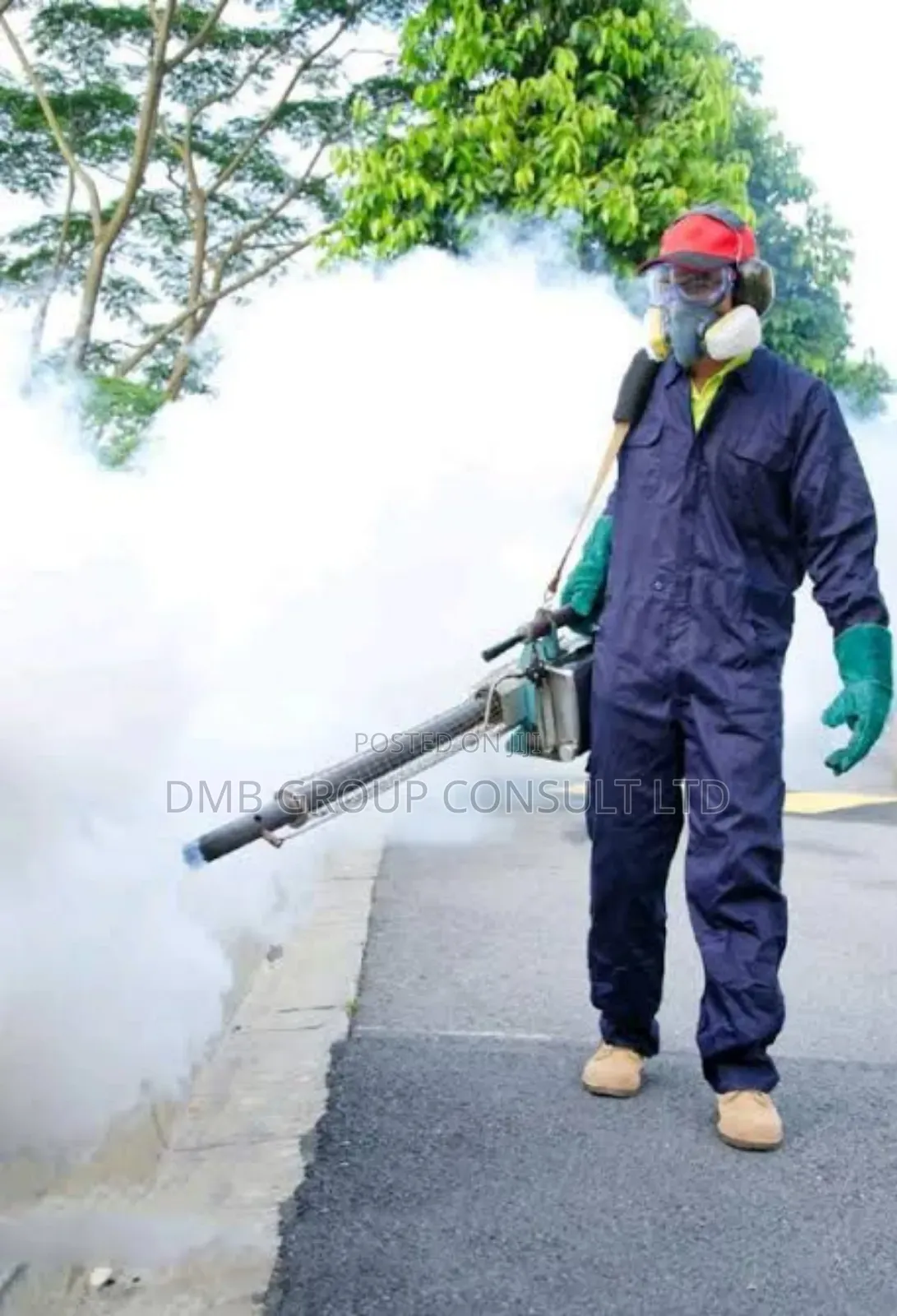 Best Fumigation