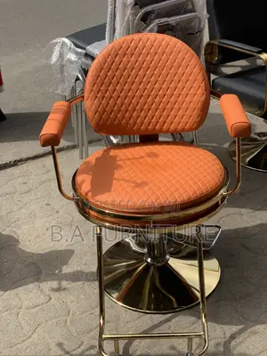 Salon/ Barbering Chair