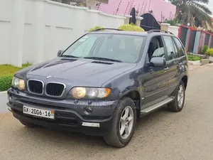 BMW X5 xDrive30d 2010 Gray