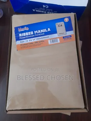 Brown Envelope A4