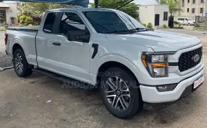 Ford F-150 2023 White