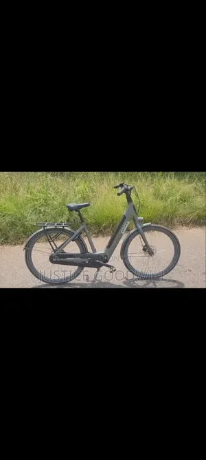 Cortina E Bike