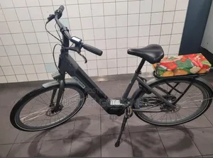 Cortina E Bike