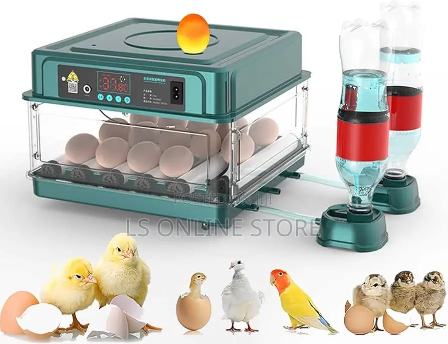 48 Capacity Incubator