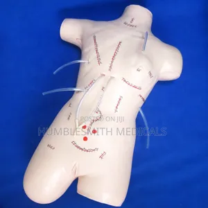 Advanced Surgery Suture Dummy Bandage Training Model
