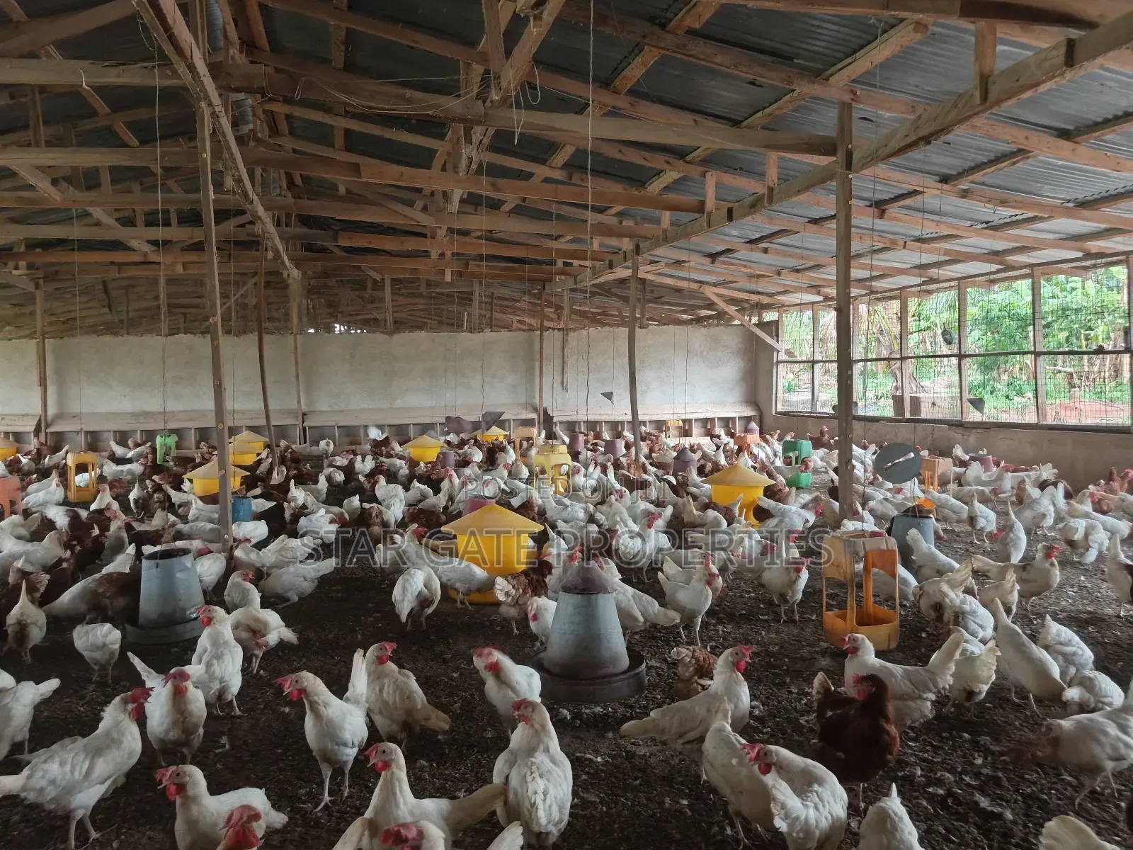 Poultry Farm for Sale at Kodie ( Near Kronum Afrancho)
