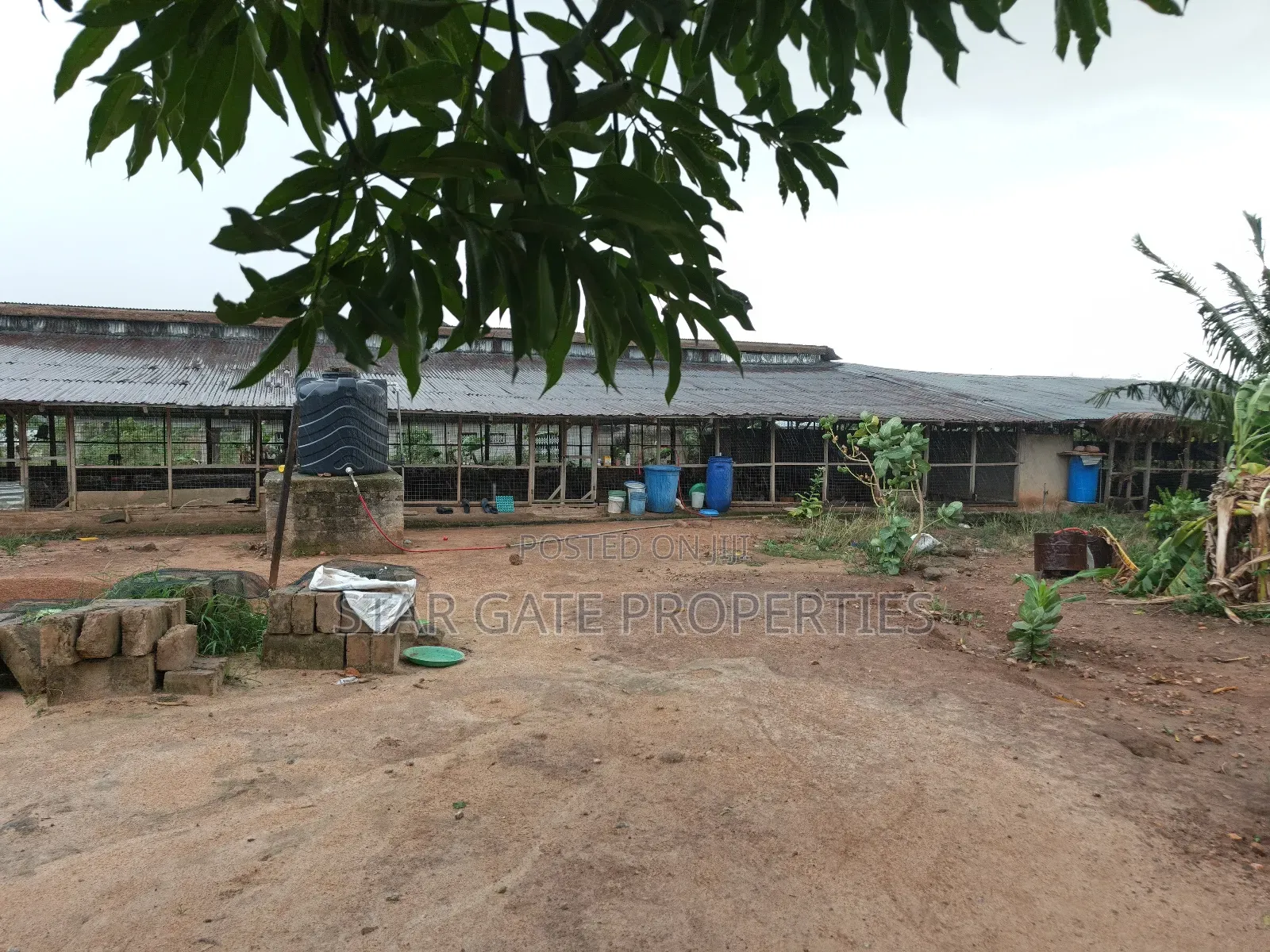 Poultry Farm for Sale at Kodie ( Near Kronum Afrancho)