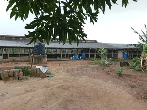 Poultry Farm for Sale at Kodie ( Near Kronum Afrancho)