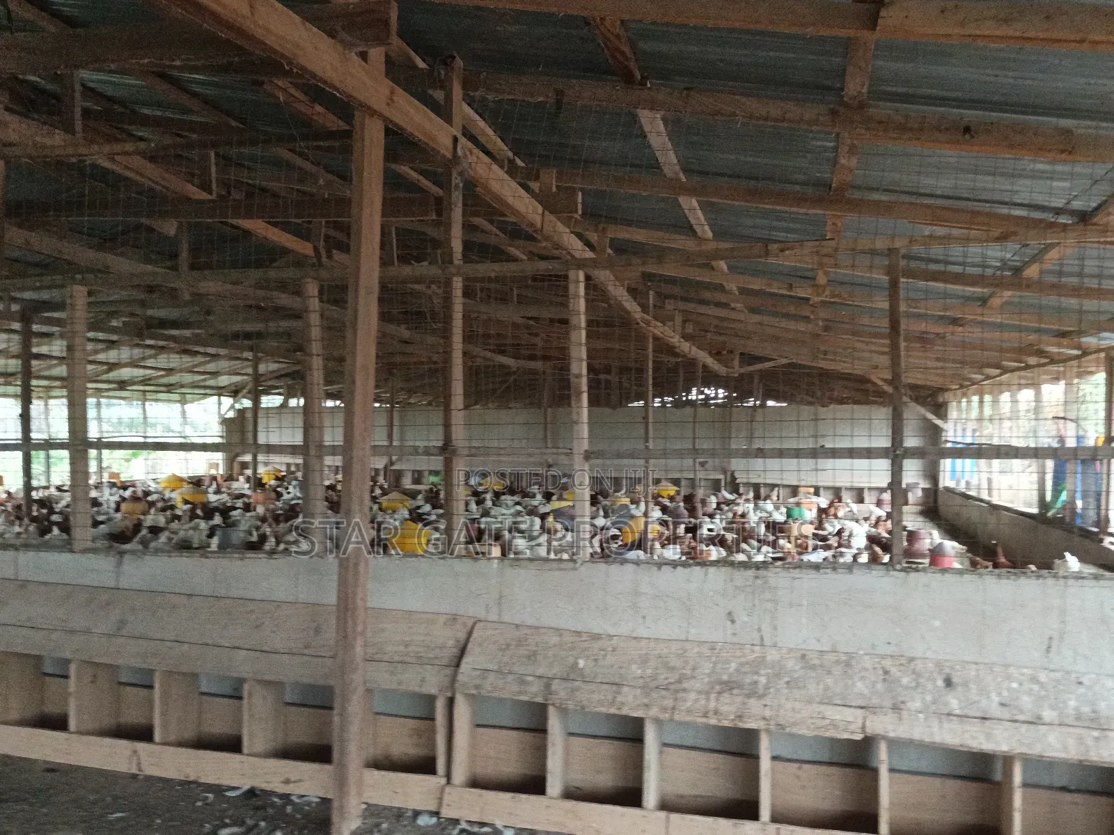 Poultry Farm for Sale at Kodie ( Near Kronum Afrancho)
