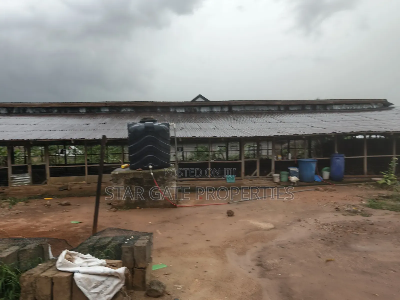 Poultry Farm for Sale at Kodie ( Near Kronum Afrancho)