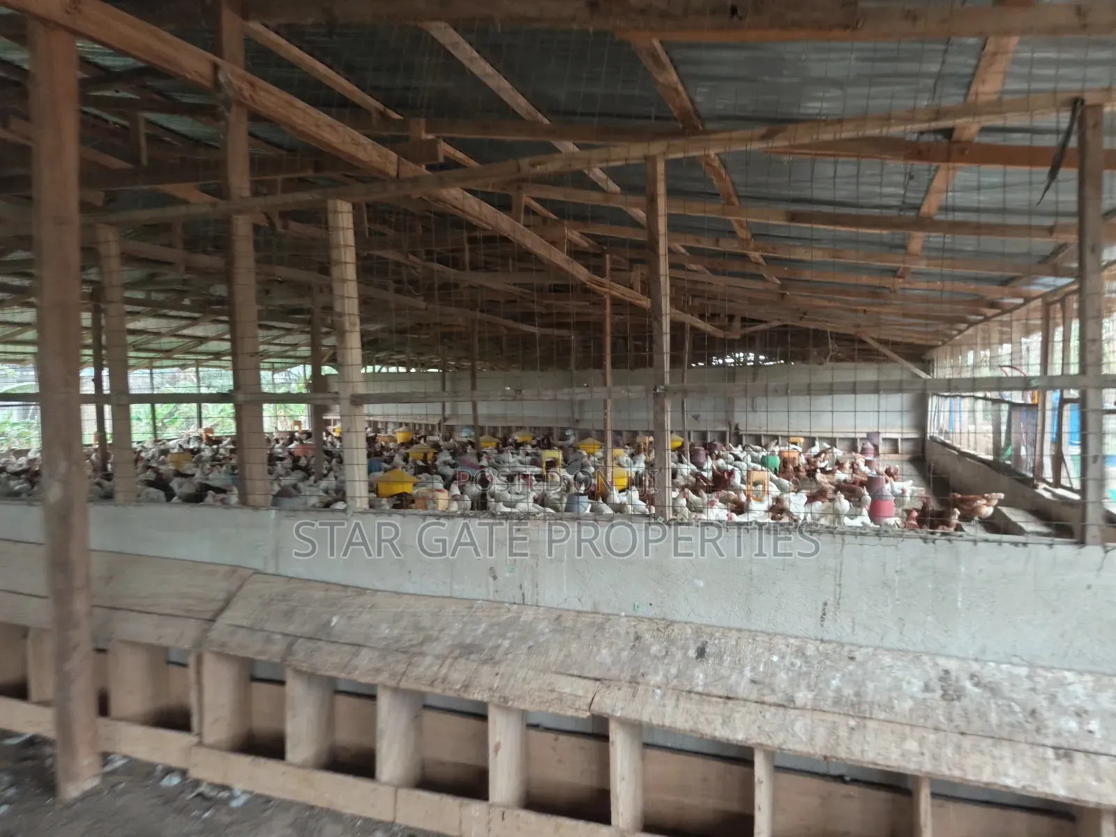 Poultry Farm for Sale at Kodie ( Near Kronum Afrancho)