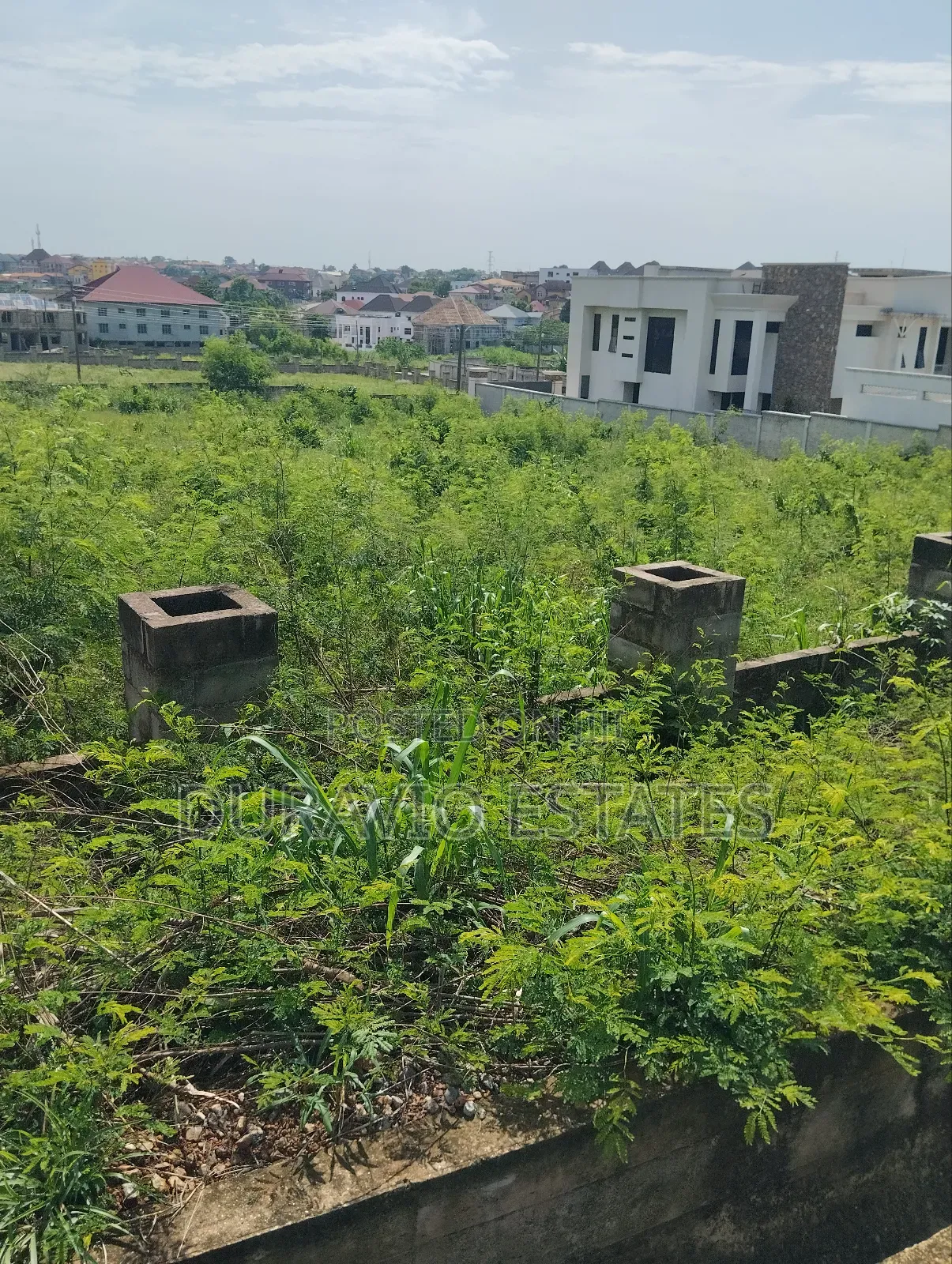Best Plot in Diamond Hills Residency