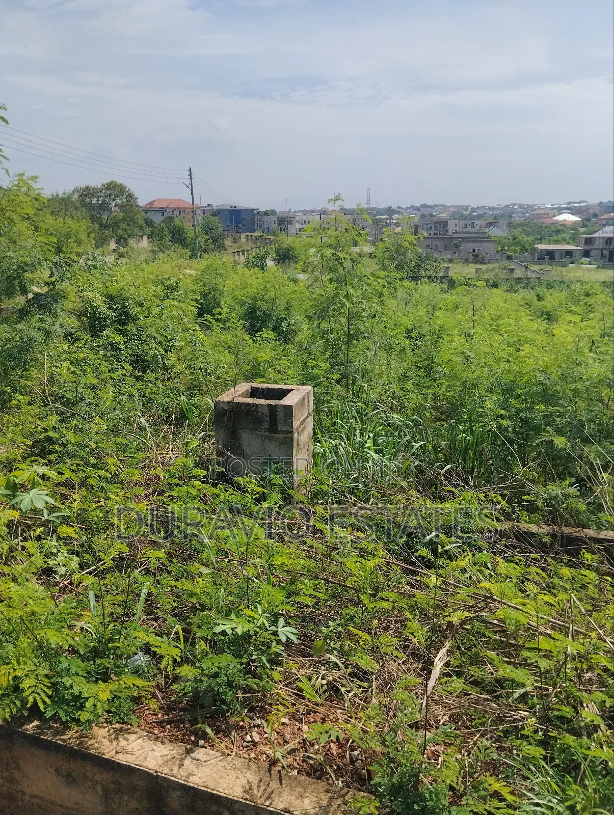 Best Plot in Diamond Hills Residency