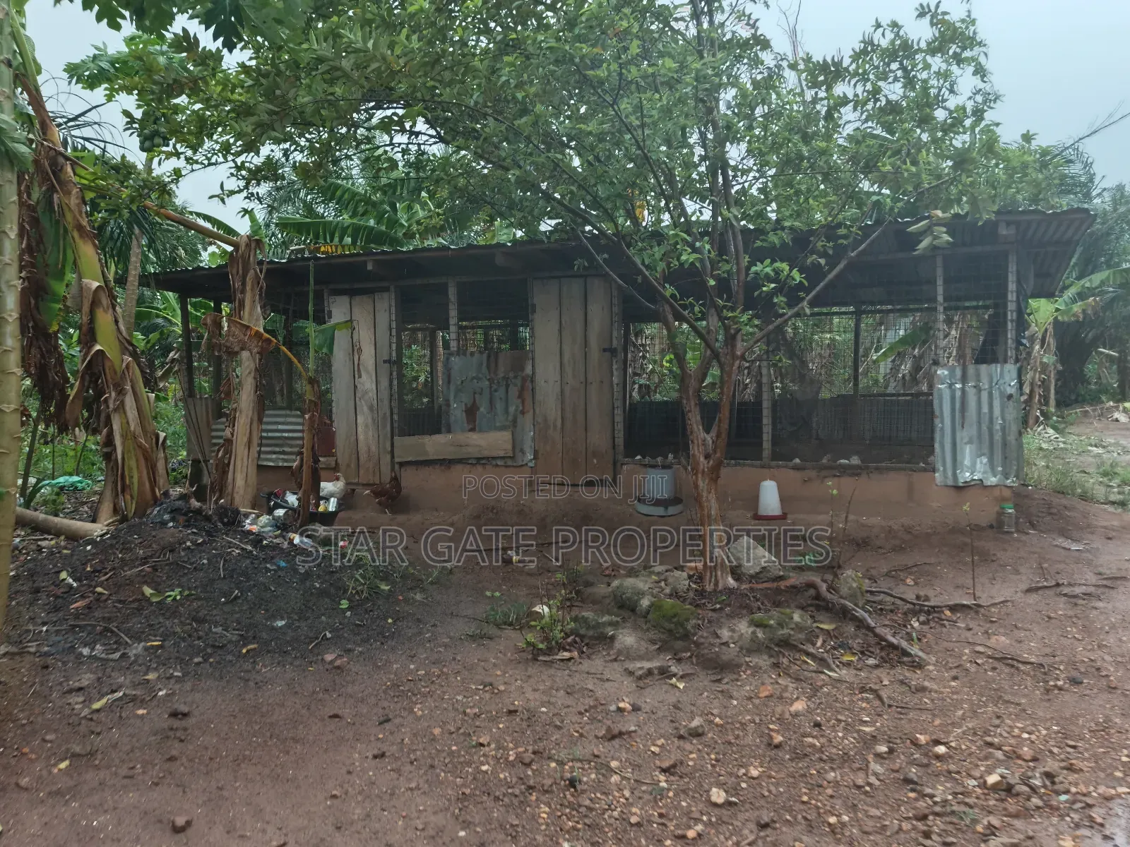 6 Plots for Sale at Kodie Apagya ( Nursing School)