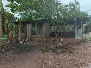 6 Plots for Sale at Kodie Apagya ( Nursing School)