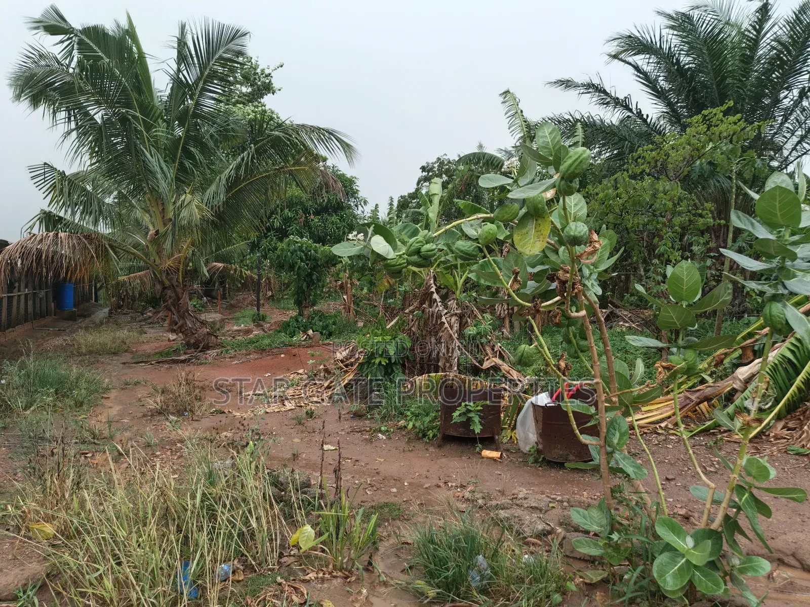 6 Plots for Sale at Kodie Apagya ( Nursing School)