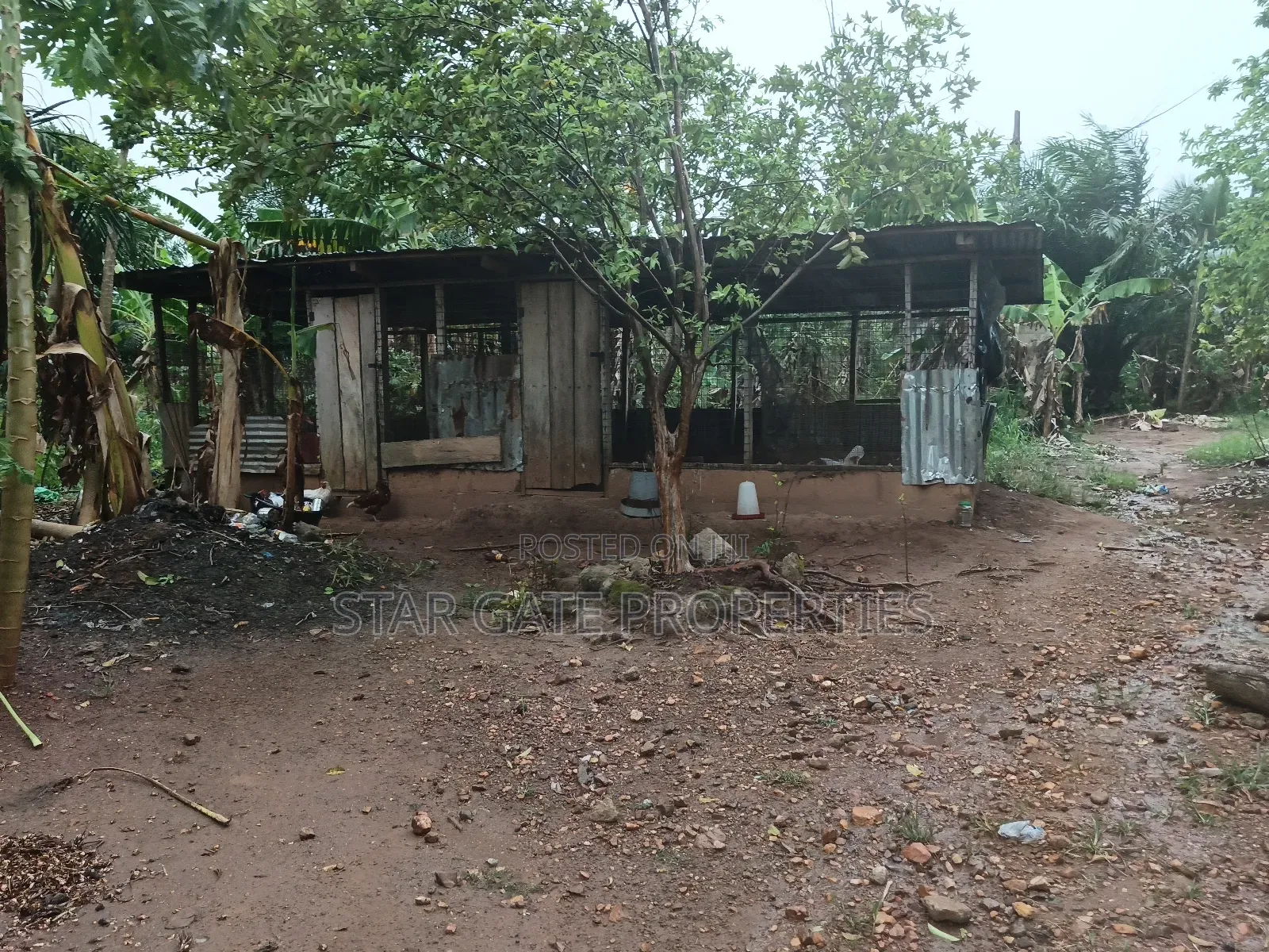 6 Plots for Sale at Kodie Apagya ( Nursing School)
