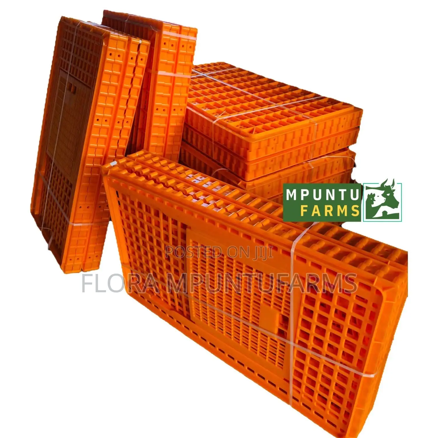 Large Transport Cages