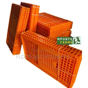 Large Transport Cages