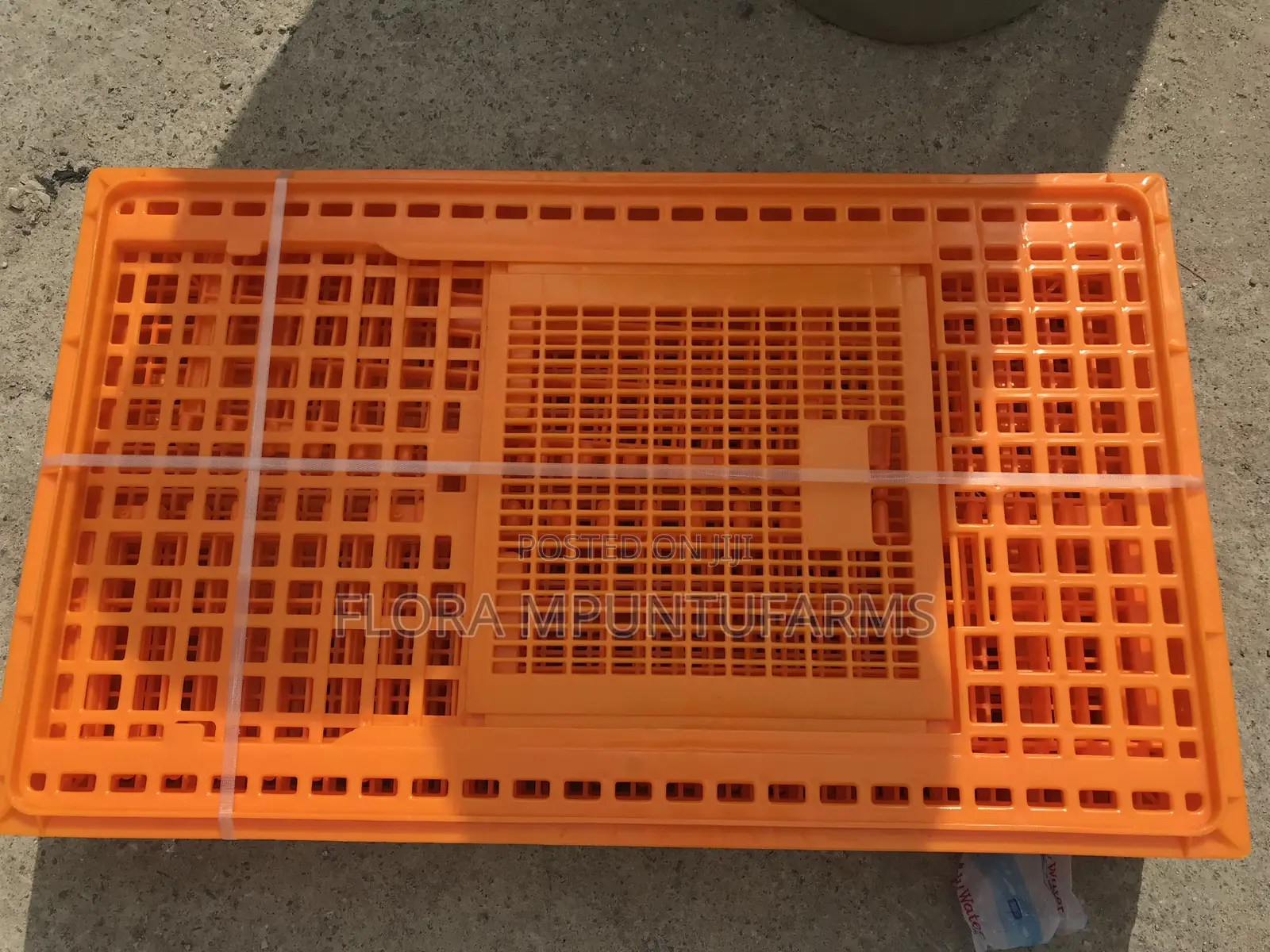 Large Transport Cages