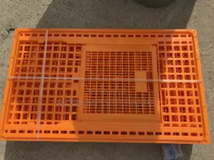 Large Transport Cages