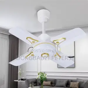 24inches Energy Efficient Short Blade Ceiling Fan