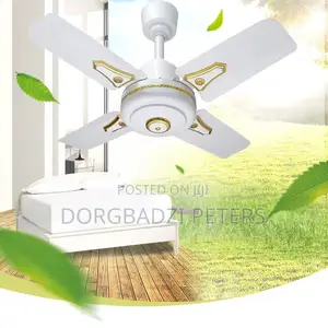 24inches Energy Efficient Short Blade Ceiling Fan