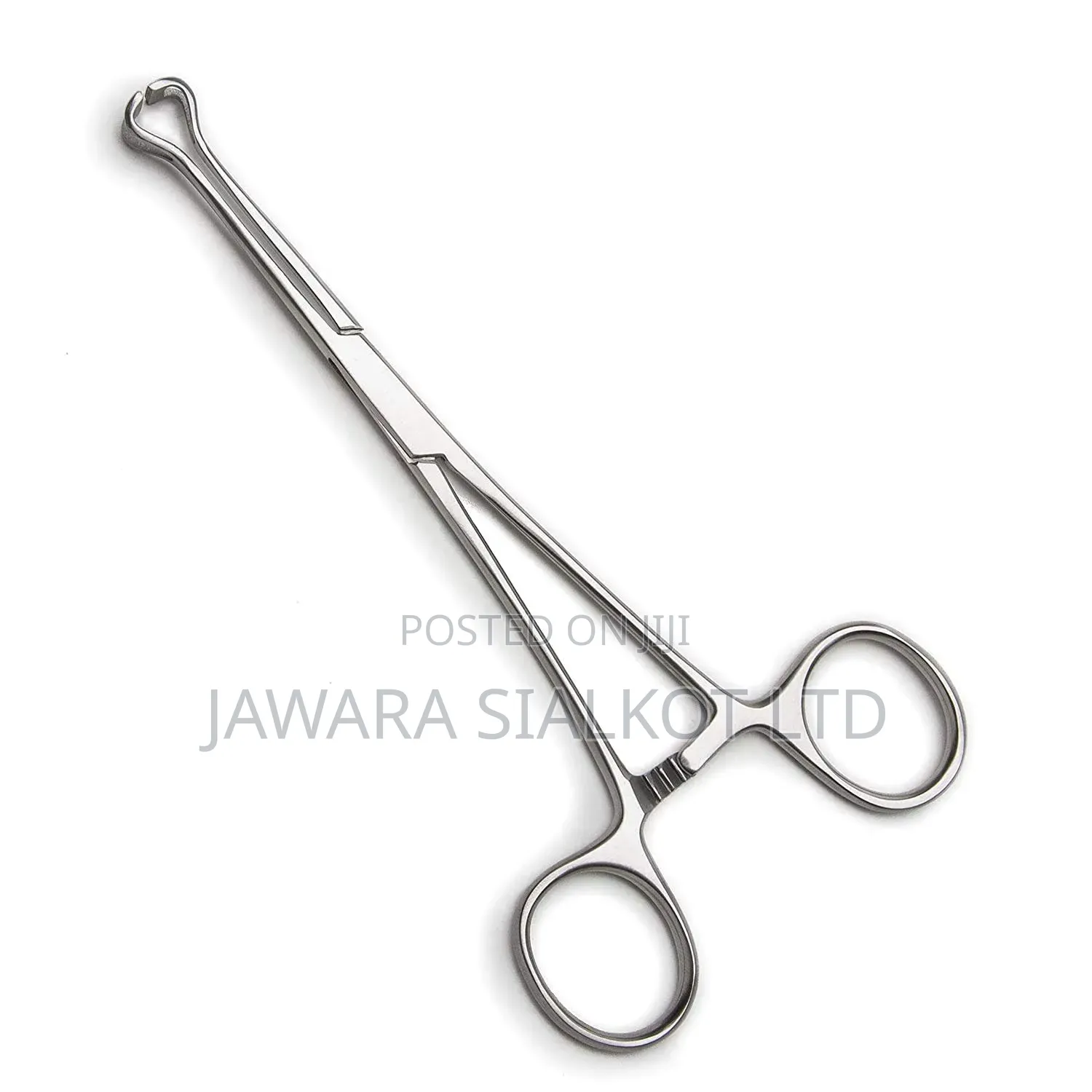 Babcock Tissue Forcep 16 Cm