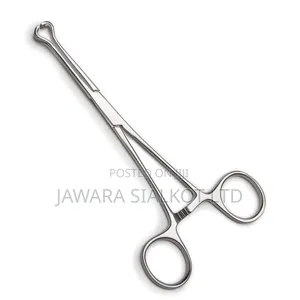 Babcock Tissue Forcep 16 Cm