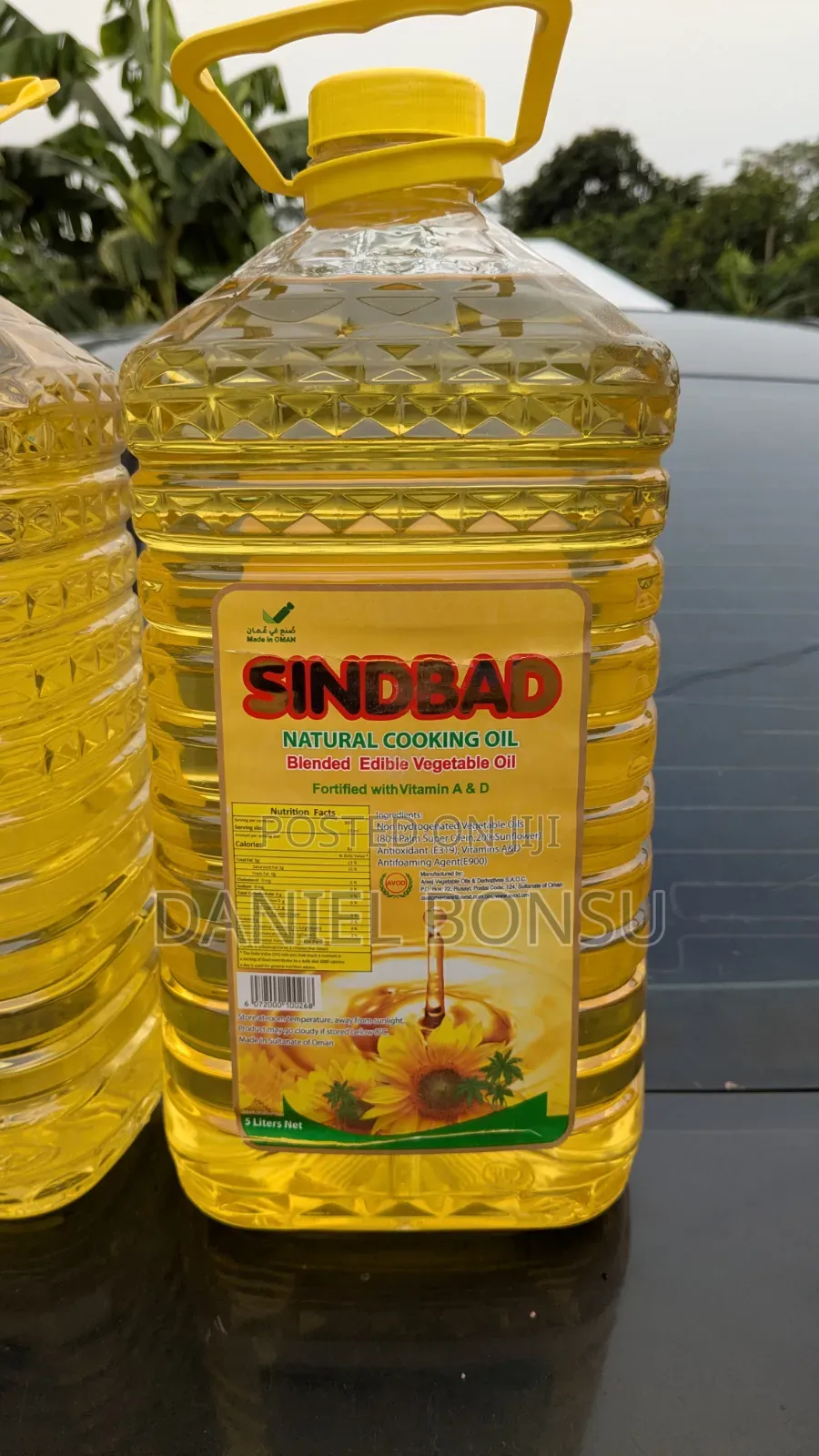 Sunflower Oil