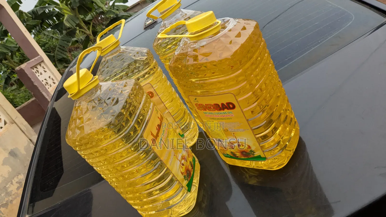 Sunflower Oil