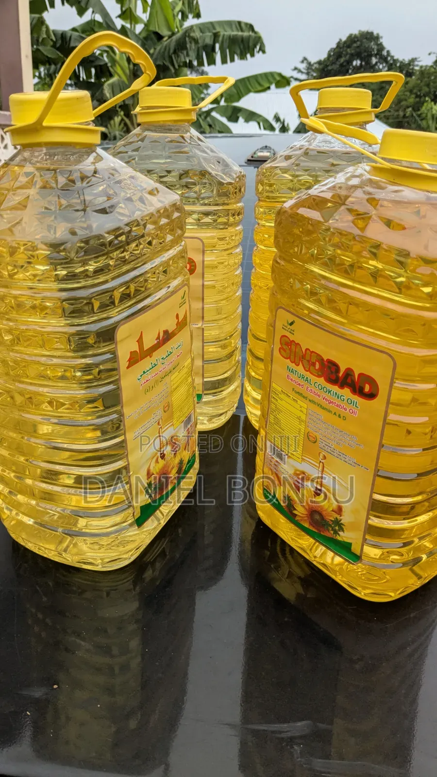 Sunflower Oil