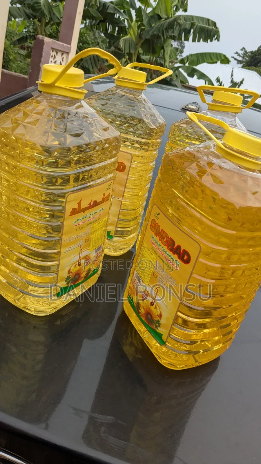 Sunflower Oil