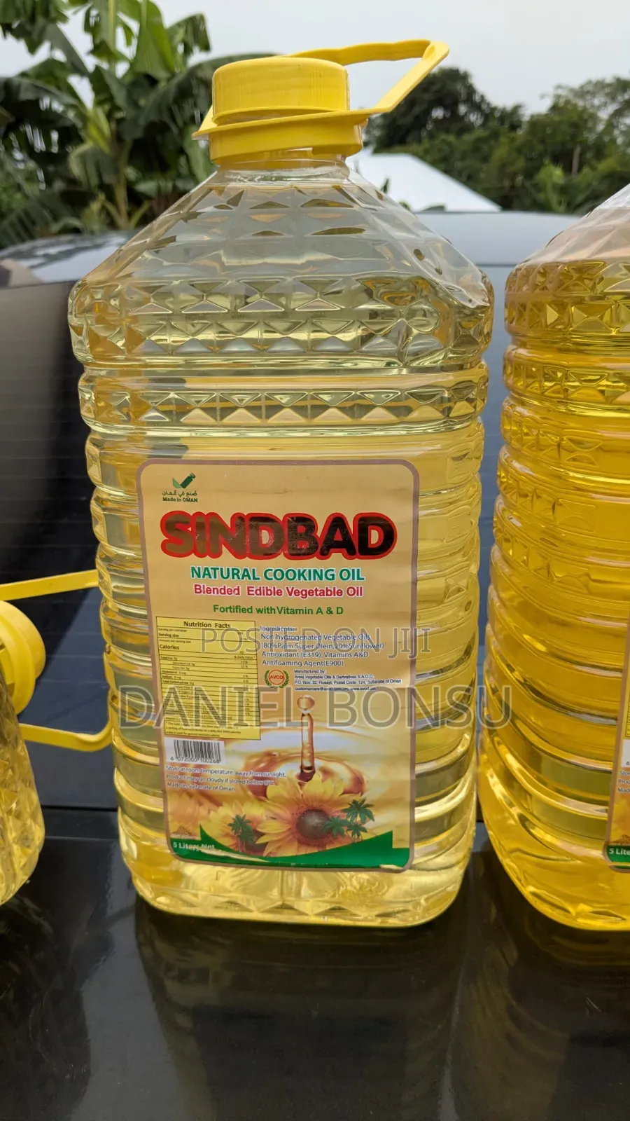 Sunflower Oil