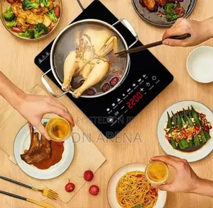 Portable Electric Induction Cooker