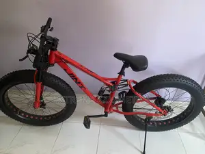Ben Rors Mountain Fat Tyre Bike