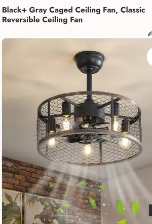 A Very Unique Ceiling Fan With Light Available for Sale